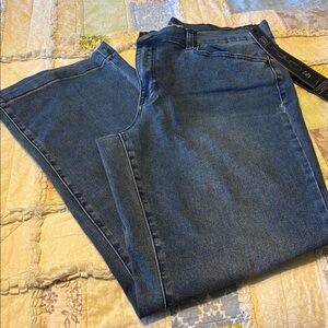 NWT DG2 Diane Gilman medium blue straight leg 16